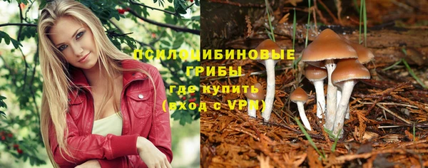 бутират Новодвинск