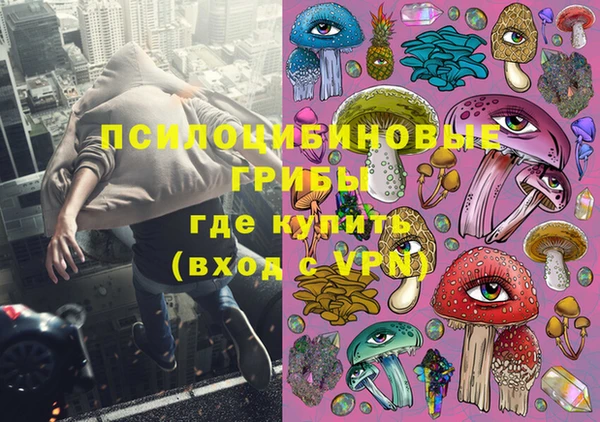 герыч Новозыбков