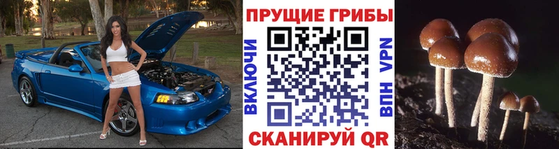 Купить где  Ишимбай  Псилоцибиновые грибы ЛСД 